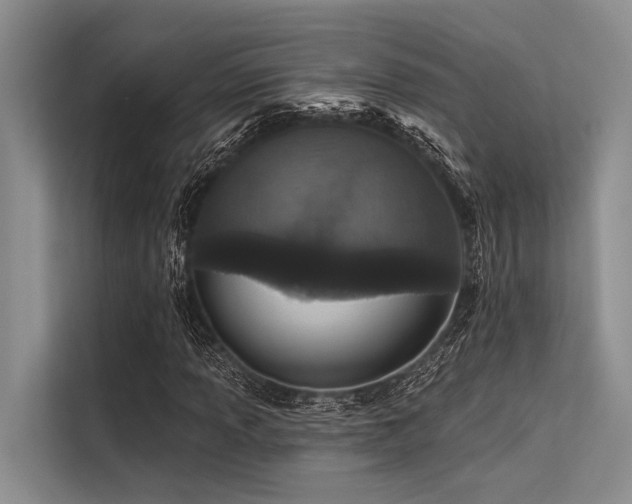 X0000113551013200909181155
