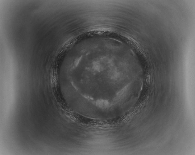 X0000113551014200909181155
