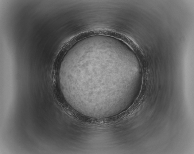 X0000113551016200909181155