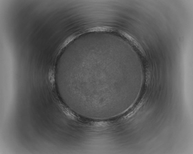 X0000113551017200909181155
