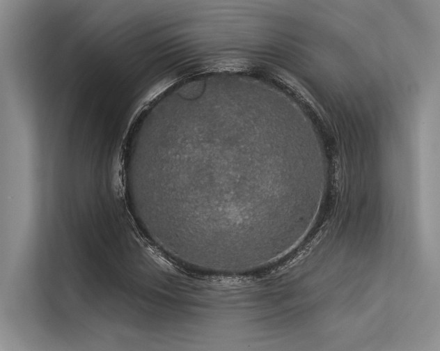 X0000113551018200909181155