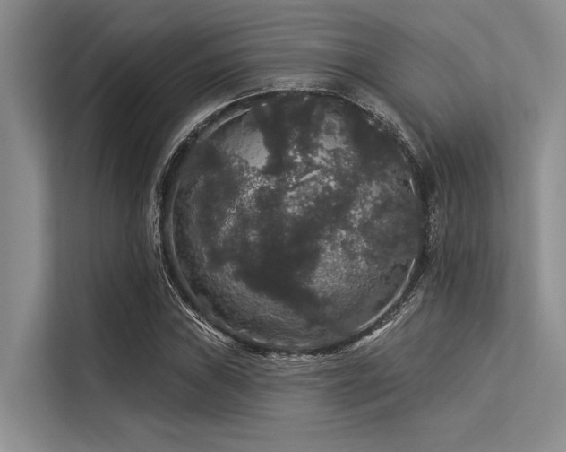 X0000113551019200909181155