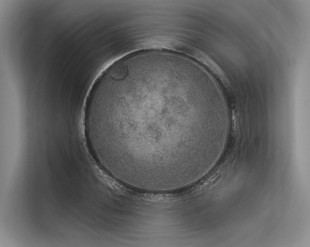 X0000113551020200909181155