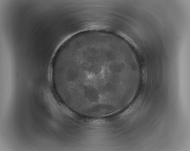 X0000113551021200909181155