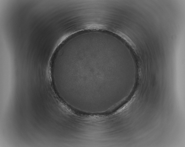 X0000113551022200909181155