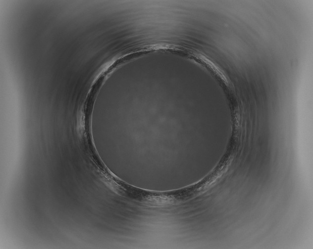 X0000113551023200909181155