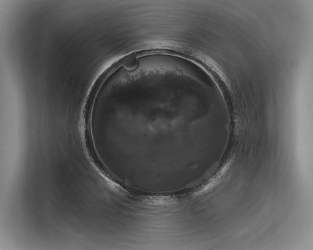 X0000113551024200909181155