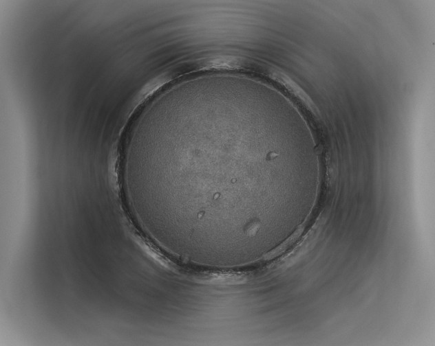 X0000113551026200909181155