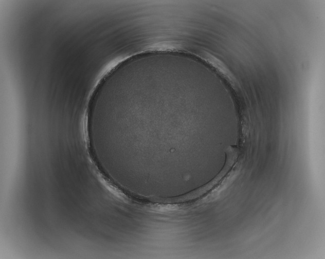 X0000113551030200909181155