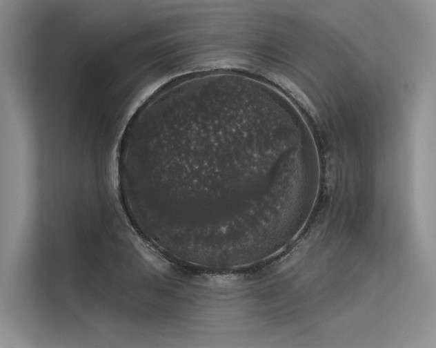 X0000113551031200909181155