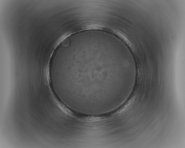 X0000113551034200909181155
