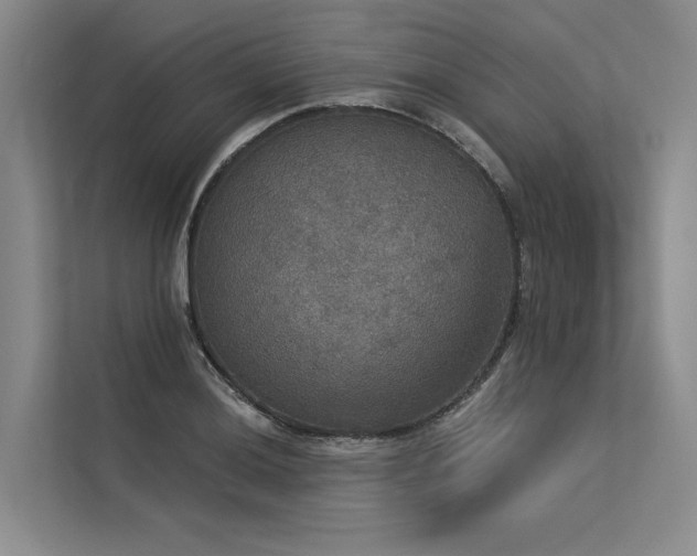 X0000113551036200909181155