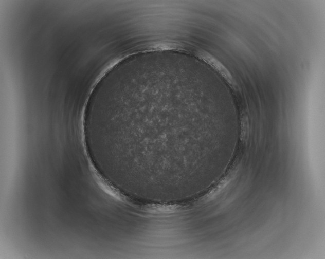 X0000113551039200909181155