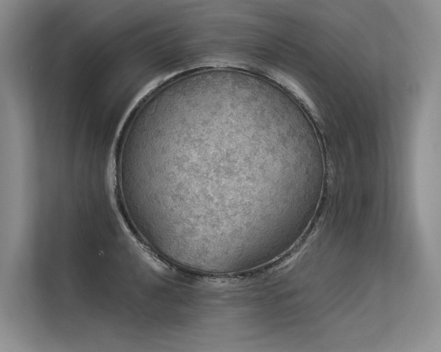 X0000113551040200909181155