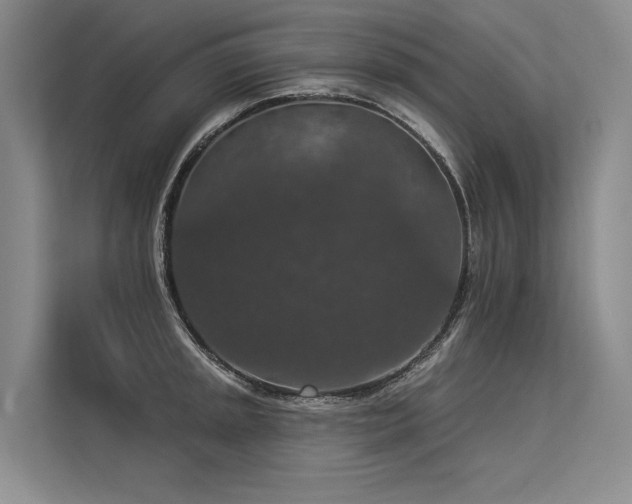 X0000113551045200909181155