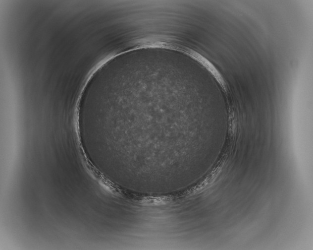 X0000113551051200909181155