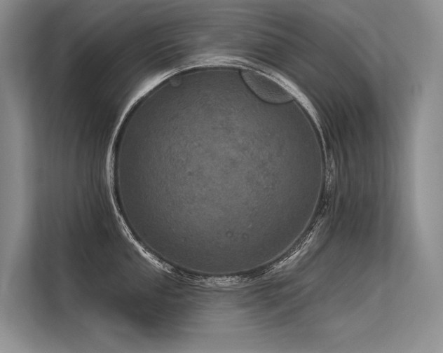 X0000113551053200909181155