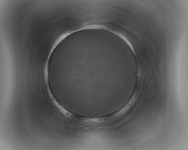 X0000113551054200909181155