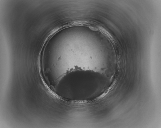 X0000113551055200909181155