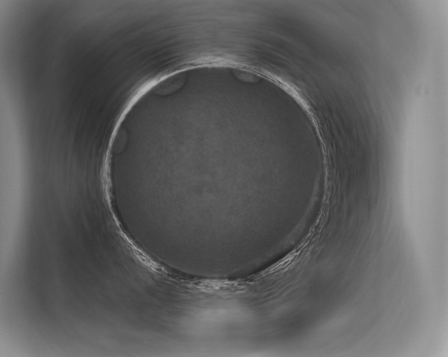 X0000113551056200909181155