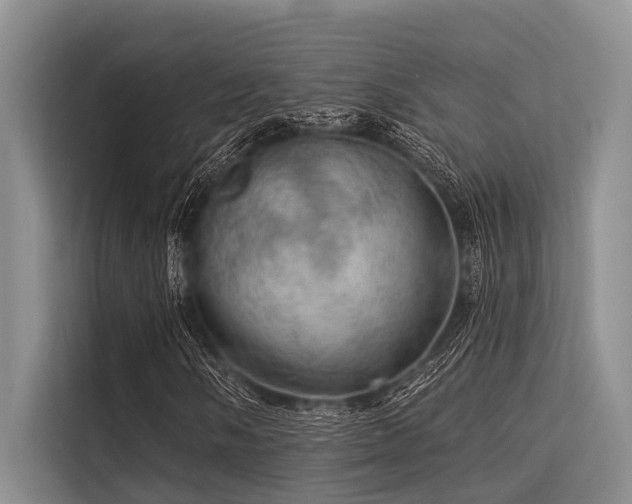 X0000113551058200909181155