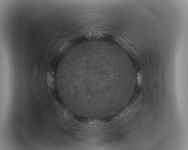 X0000113551059200909181155