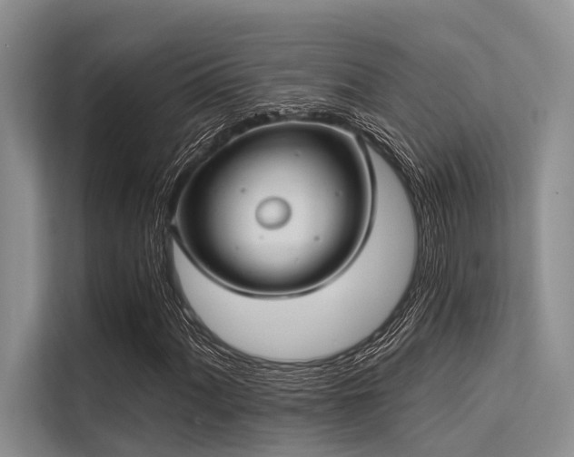 X0000113551060200909181155