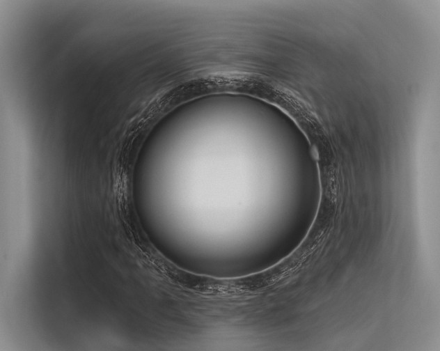 X0000113551061200909181155