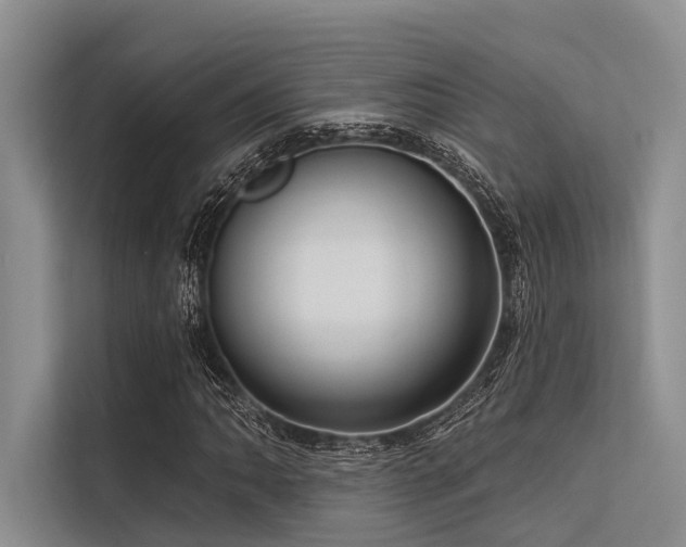 X0000113551062200909181154