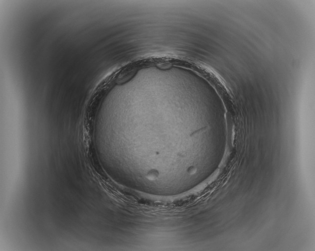 X0000113551064200909181154