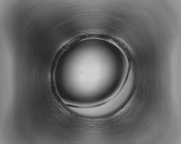 X0000113551065200909181154