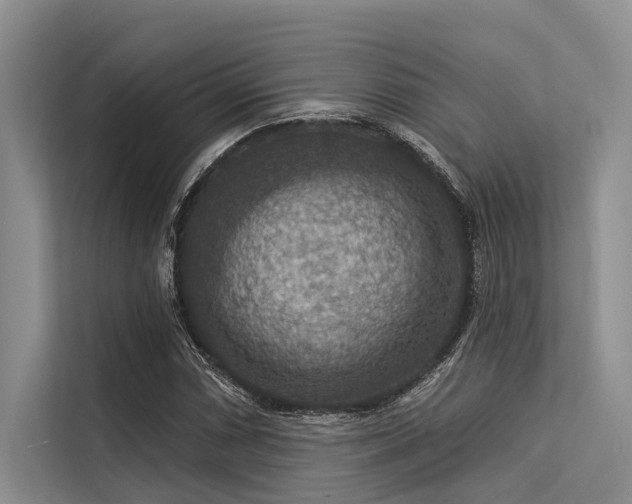 X0000113551066200909181154
