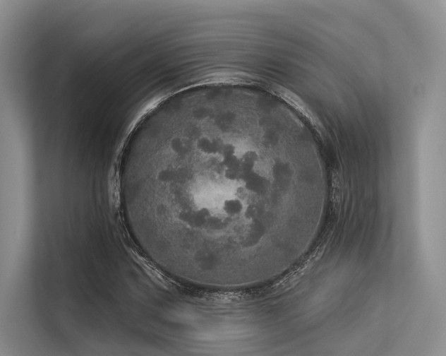 X0000113551067200909181154