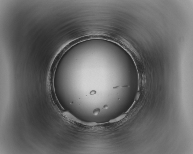 X0000113551068200909181154