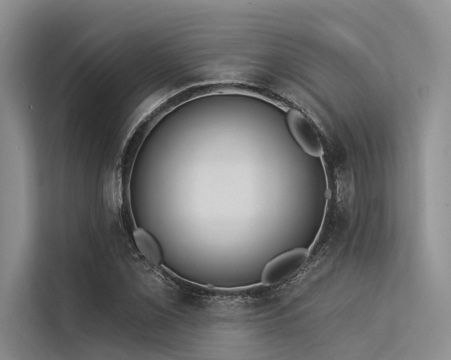 X0000113551069200909181154