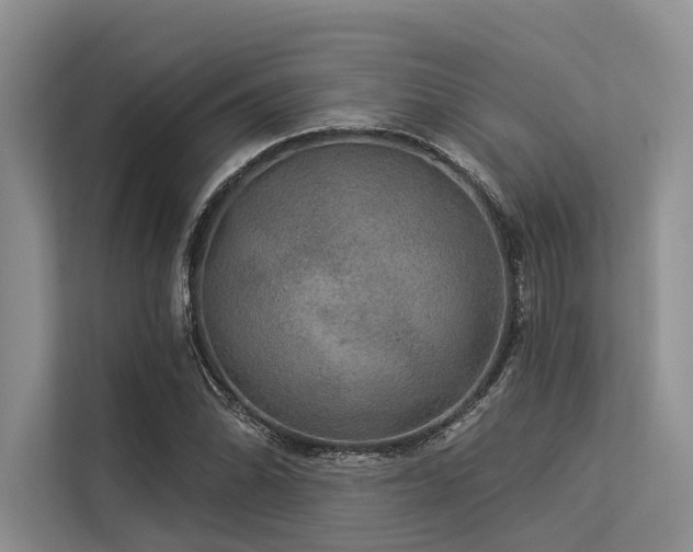 X0000113551070200909181154