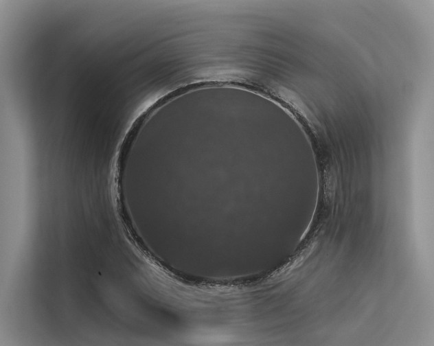 X0000113551071200909181154