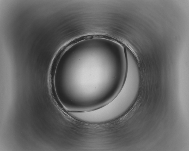 X0000113551072200909181154