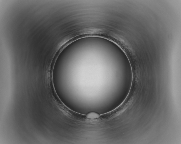 X0000113551073200909181154