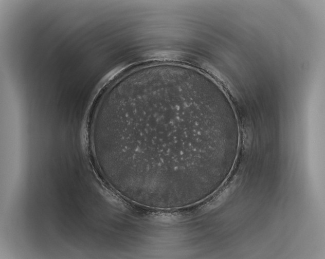 X0000113551074200909181154