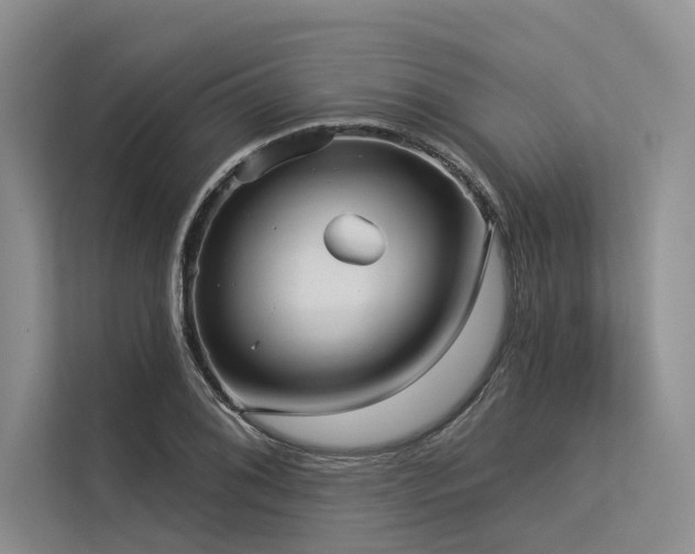 X0000113551076200909181154