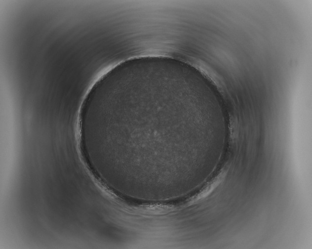 X0000113551077200909181154