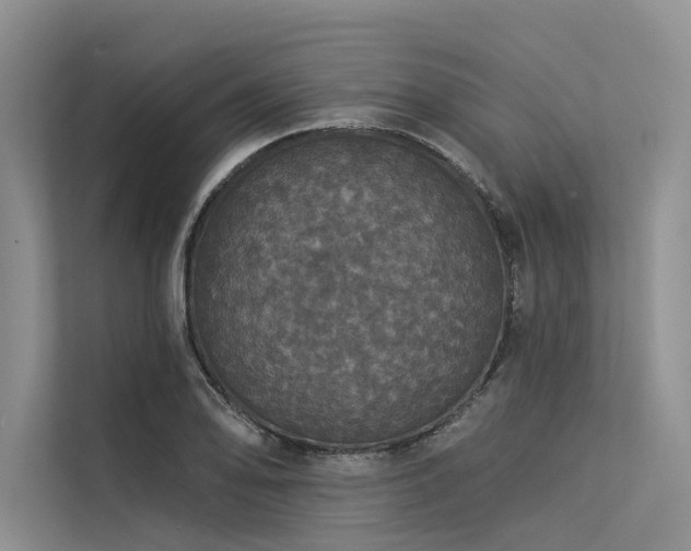 X0000113551078200909181154