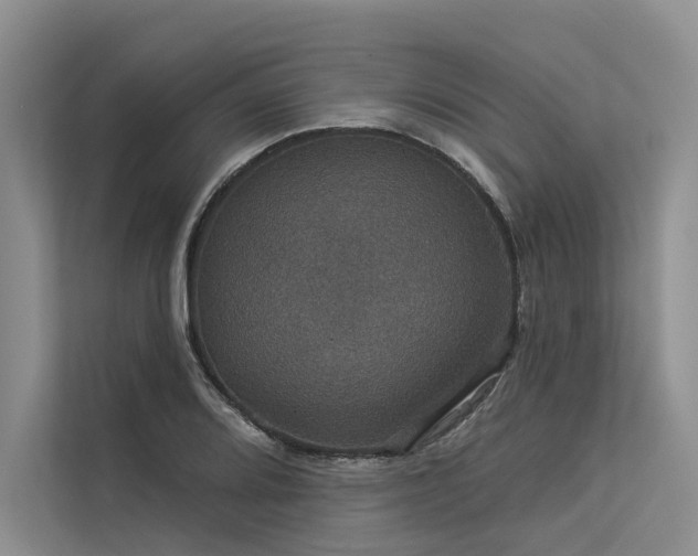 X0000113551080200909181154