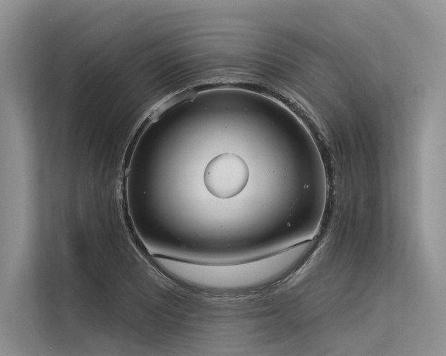X0000113551081200909181154