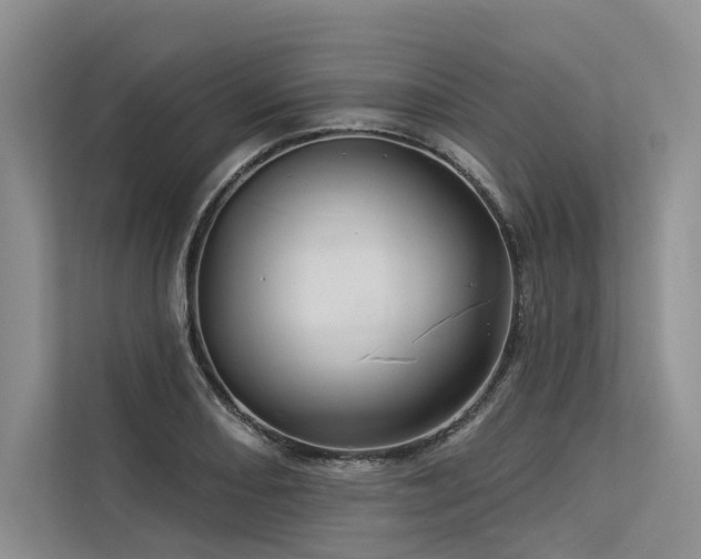 X0000113551082200909181154