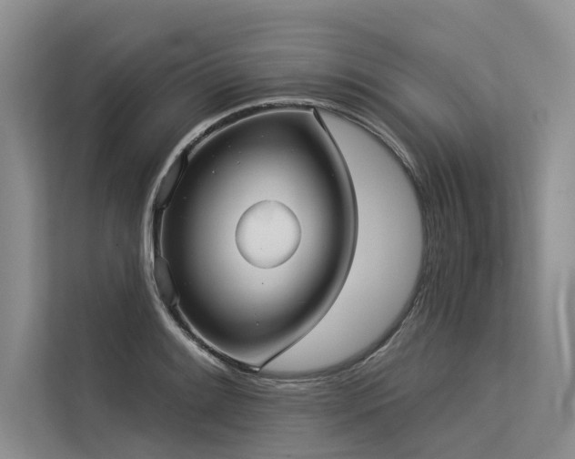 X0000113551084200909181154