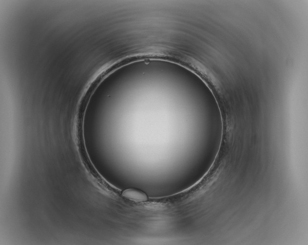 X0000113551085200909181154