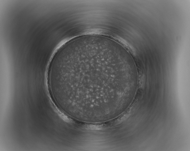 X0000113551086200909181154