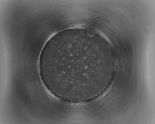 X0000113551087200909181154